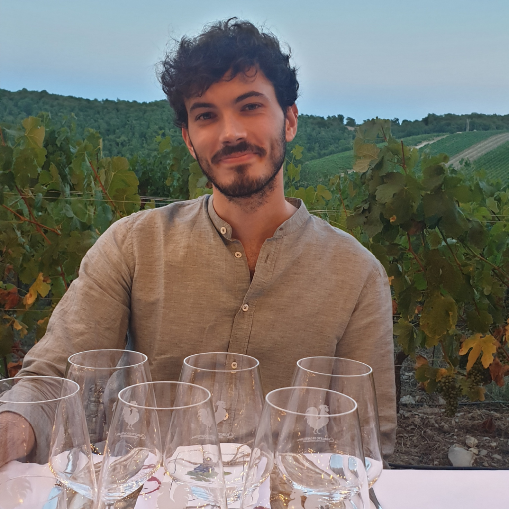 dinner in the vineyards