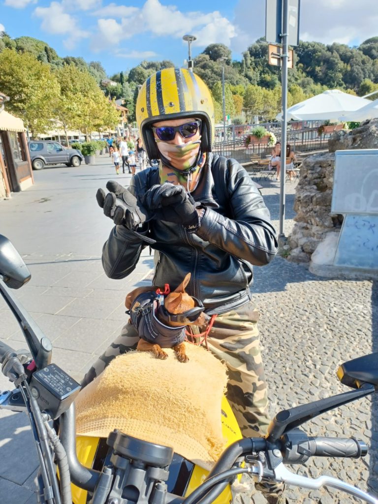 anguillara dog motorbike