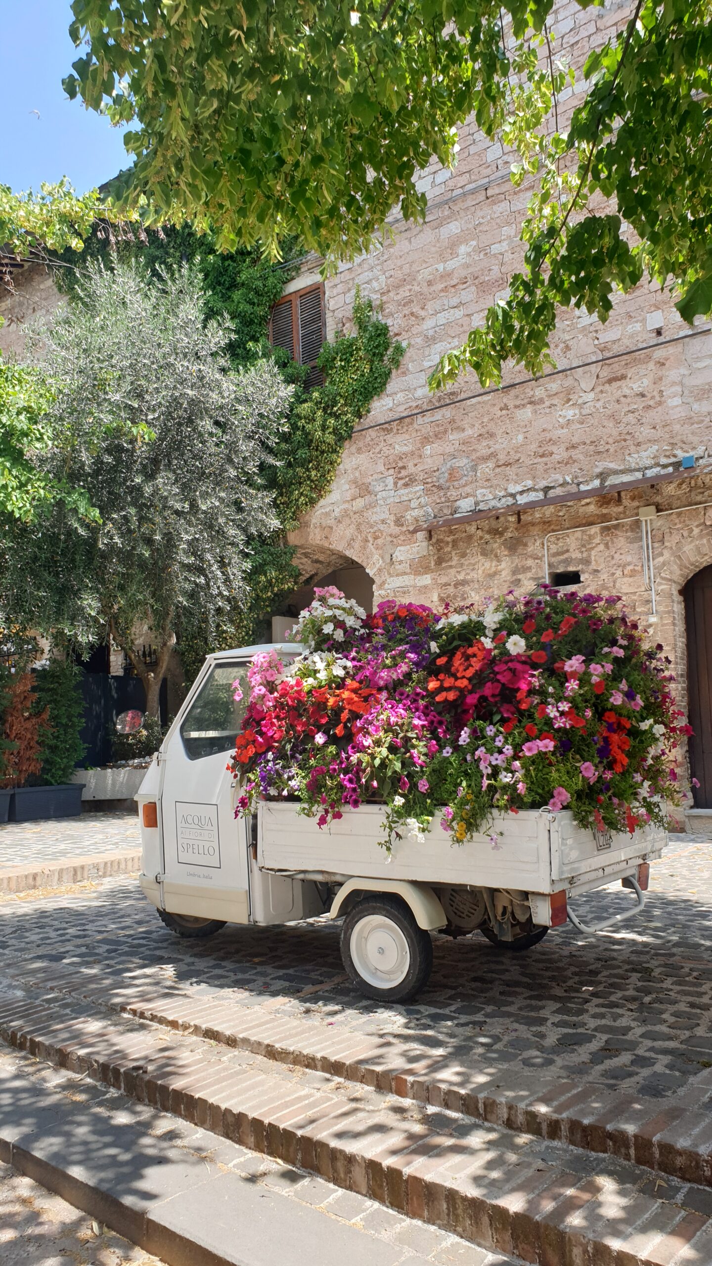 Why you need to visit enchanting Spello in 2024