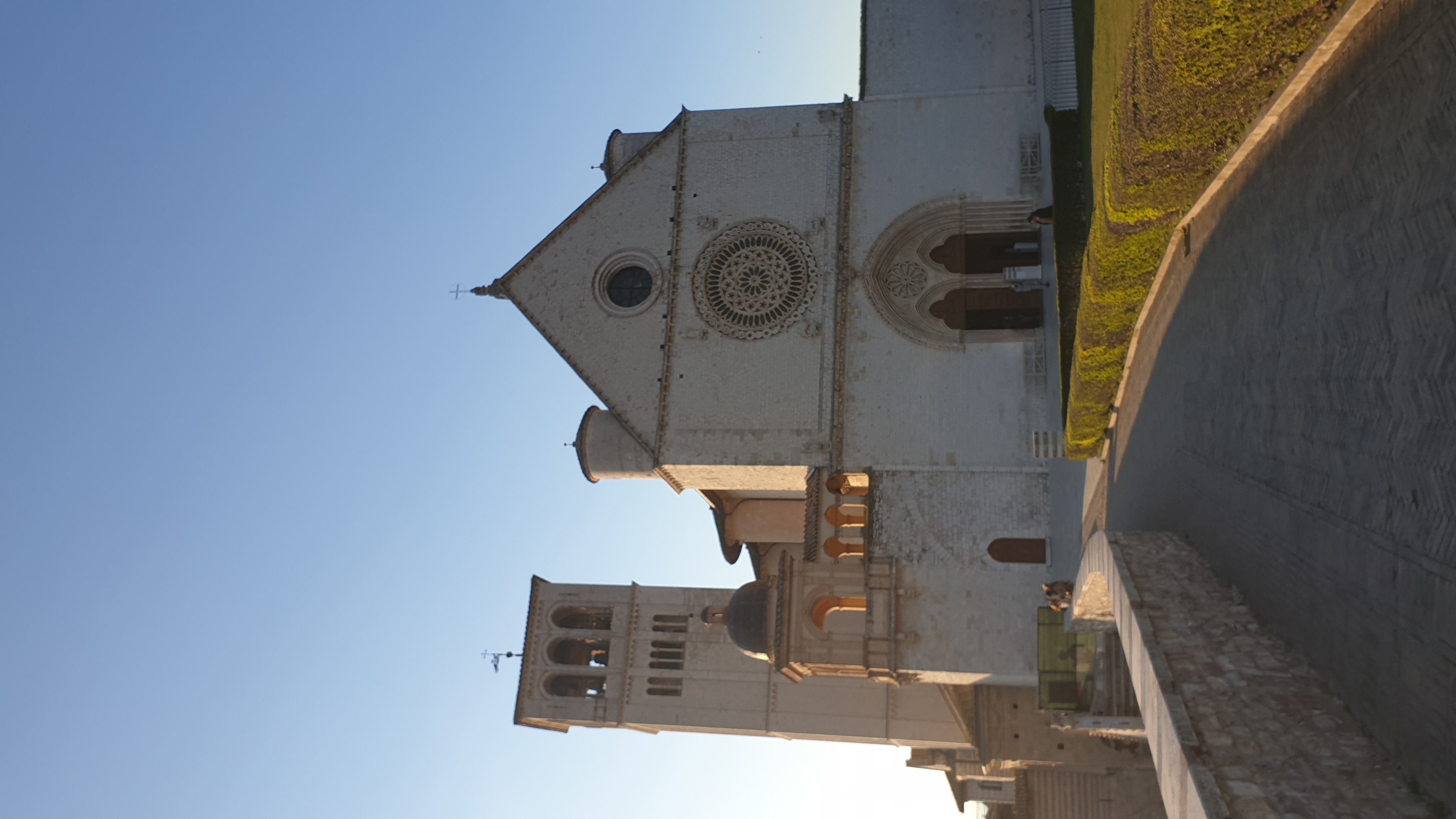 st francis basilica